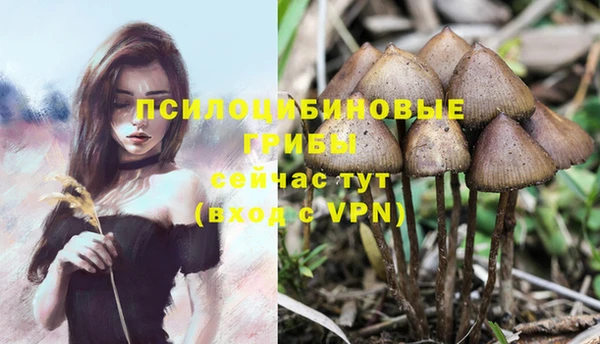 марихуана Протвино